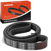 A-Premium front view of serpentine belt showing full 7-rib profile and fit benefit