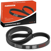 A-Premium front packaging showing belt and part number, assuring correct fit