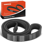 A-Premium front packaging showing the belt and model for easy identification