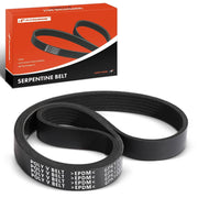 A-Premium serpentine belt front view showing fit and ribs for reliable replacement