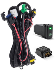 Anina front view of pre-assembled harness showing connectors and switch for easy install