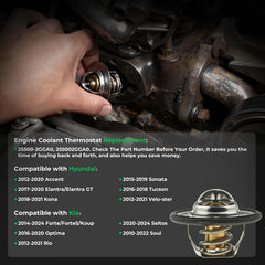 Anleecap thermostat close-up valve detail highlighting precise temperature control
