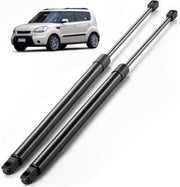ARANA front view of both rear hatch struts showing fitment and durability