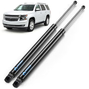ARANA rear hatch struts front view showing OEM fit and robust build