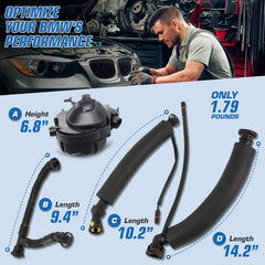 Auto Parts Prodigy assortment of O-rings and grommets laid out for leak-free installation