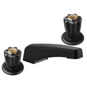BANOSE front view showing compact black faucet and easy cleaning