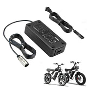 BICMDO front view of the Ridstar Q20 charger showing compact durable design and safe charging