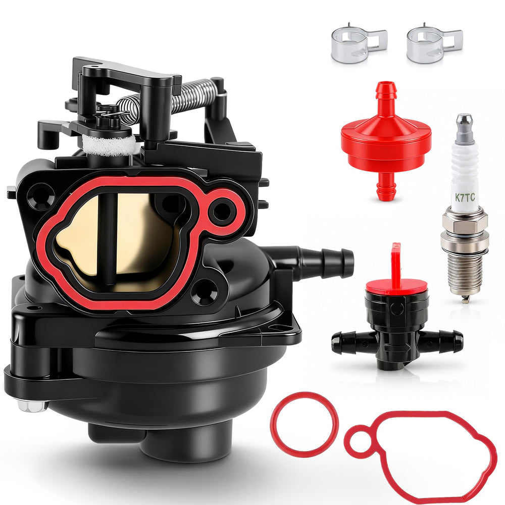 BioLion carburetor front view showing body and mounting points for accurate fit