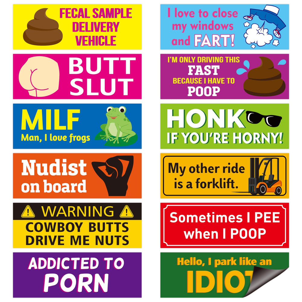 BkeeCten front view of 12-piece magnet set showing colorful designs and variety