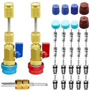 CANIPHA front packaging showing full 31-piece AC valve core kit and benefits