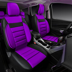 CAR PASS full rear view installed showing complete seat protection