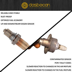 Dasbecan downstream 4-wire connector detail for easy swap