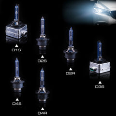 DMEX detailed shot of D1S bulb base demonstrating secure fit benefit