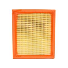 ECOGARD filter beside ruler showing dimensions for correct fitment