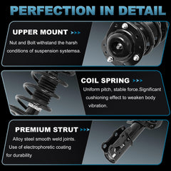 EVERESTWAY heavy-duty coil spring detail improving ride stability