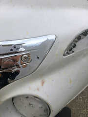 Hunter Detail used on a car during outdoor detailing for quick cleanup