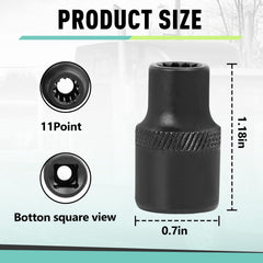 Kamrexi socket beside ruler for scale showing compact dimensions and easy storage benefit