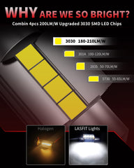 LASFIT bulb installed in a car dome light delivering bright xenon-white interior illumination