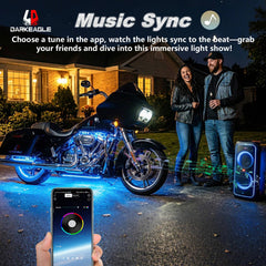 LD DARKEAGLE smartphone app screen controlling colors and music-sync effects