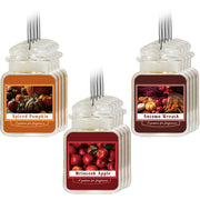 Leelosp front packaging showing autumn wreath design and seasonal appeal