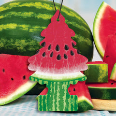LITTLE TREES watermelon hanging in car providing balanced fragrance while driving