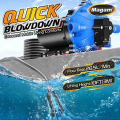 Magam strainer and inlet detail illustrating easy access and simple maintenance