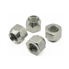 Mighty Fasteners front pack view showing 10 stainless wheel nuts with durable protection