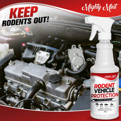 Mighty Mint sprayed in glovebox to deter rodents and keep interior safe