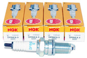 NGK DPR6EA-9 front packaging showing brand and part clarity for confident purchase
