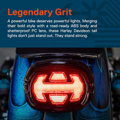 ONLINE LED STORE TRUE MODS side profile smoked lens offering a custom subdued look