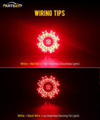 Partsam rear view showing wiring and thick gasket for watertight installation