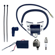 QINLANAP complete ignition kit neatly arranged for quick replacement benefit