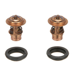 Quicksilver thermostats with rubber gaskets demonstrating ready-to-install kit