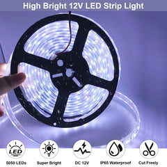 QVEVDACAR close-up of white LEDs demonstrating bright, even illumination