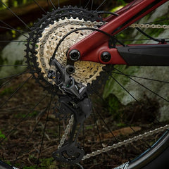 Shimano close-up pivot and bore detail highlighting precise fit and durability