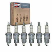 Sixity Auto Champion front packaging showing six plugs and part info, confirming fit