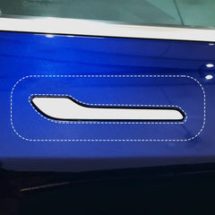 skoko front view of PPF on Tesla handle showing precise fit and protection