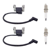 TOTEDELL front packaging showing two coils and two spark plugs for quick identification