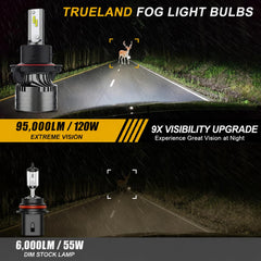 TRUELAND close-up of LED diodes highlighting crisp light output and clarity