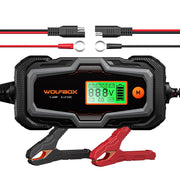 WOLFBOX BC40 front view showing compact housing and control buttons for easy storage