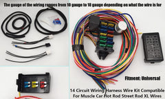 WZruibo fuse panel with cover showing labeled fuses for organized protection