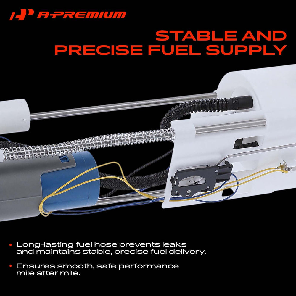 A-Premium size comparison next to ruler showing correct dimensions and scale