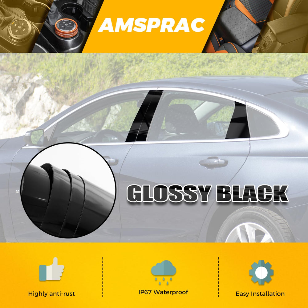 AMSPRAC installed on front door pillar demonstrating clean sporty appearance