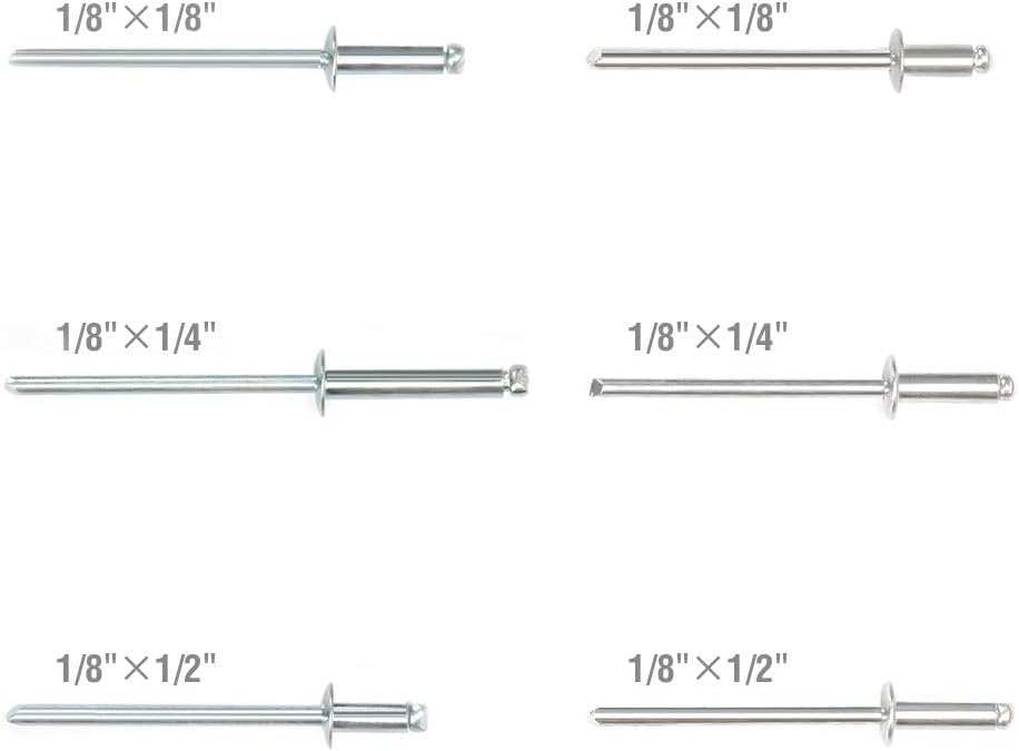 Arrow Fastener riveter beside ruler for clear size comparison