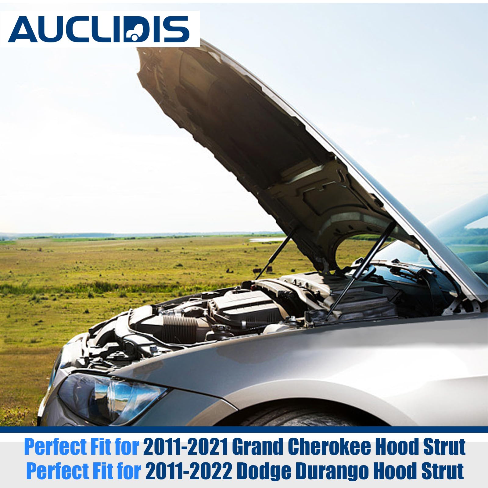 AUCLIDIS strut showing measured lengths for accurate verification