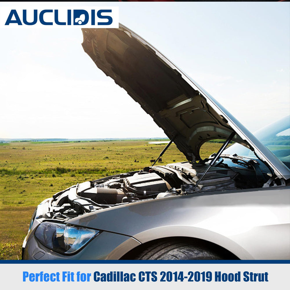 AUCLIDIS strut mounted on Cadillac CTS demonstrating stable hood support