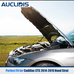 AUCLIDIS strut mounted on Cadillac CTS demonstrating stable hood support