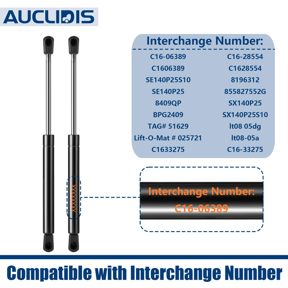 AUCLIDIS strut supporting toolbox lid showing reliable hands-free access