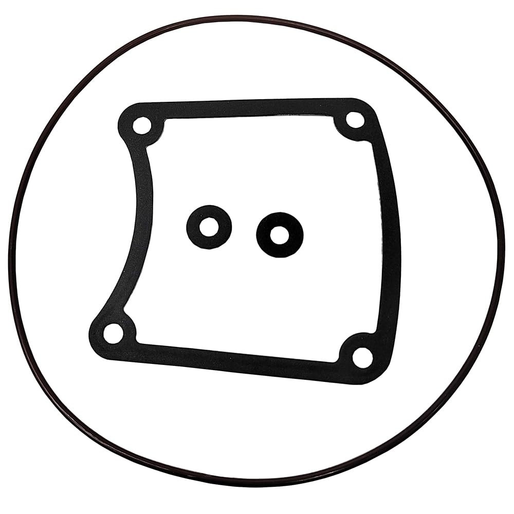 BIGLKNM gasket kit flat lay displaying all seals and gaskets to confirm contents