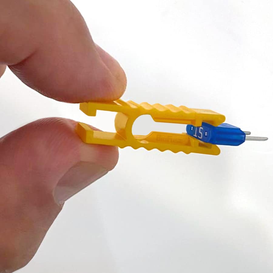 BIOFUSE fuses next to a coin showing scale and compact portability benefit